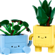 Happy Plants