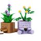 Cozy Plants