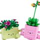 Rocking Plants