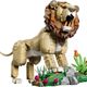 Wild Animals: Majestic Lion