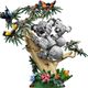 Wild Animals: Family of Koalas
