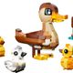 Duck Family