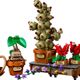 Hogwarts Herbology Plants
